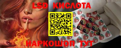 mdpv Кимры