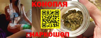 mdpv Кимры